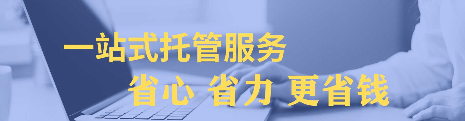 通许sem竞价